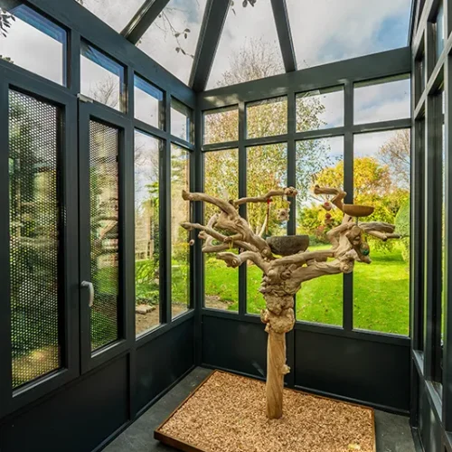 Orangerie contemporaine à Landunvez avec espace de vie adapté aux oiseaux