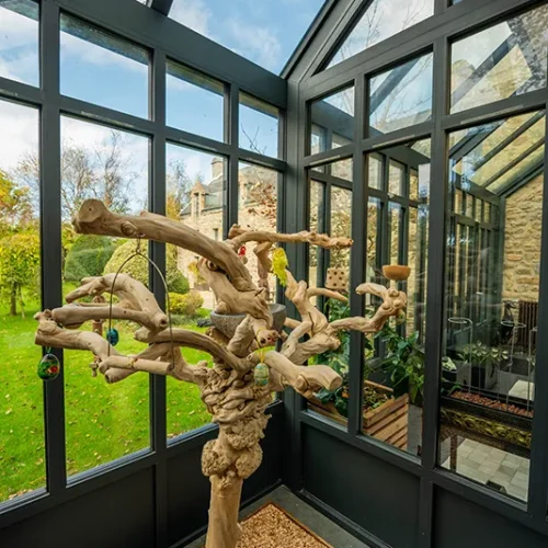 Orangerie contemporaine à Landunvez avec espace de vie adapté aux oiseaux